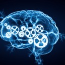 研究认知心理学的数字人脑|心理学职业