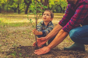 什么时候会成长？帮助他的父亲的好奇的小男孩种植树，当一起在庭院里工作