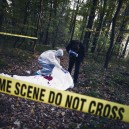 调查尸体的CSI专家小组|法医心理学职业万博娱乐客户端登录